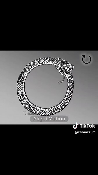 Ouroboros is an ancient symbol of a snake eating its own tail. It represents eternity, infinity, rebirth, and the endless cycle of life and death. The snake forms a circle, symbolizing that everything ends and begins again. The Ouroboros also represents renewal, transformation, and the idea that the universe is constantly creating and destroying itself. It has been used in many ancient cultures, including Egyptian and Greek traditions, for thousands of years.#ourobos