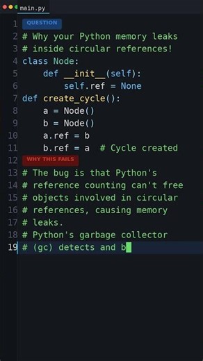 This Python Code Is Wrong: Why your Python memory leaks inside circular references!
