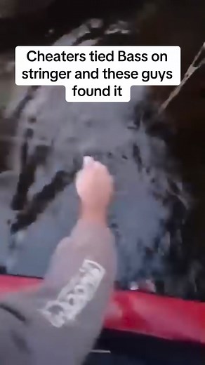 62K views · 965 reactions | Cheater Tied Bass On Stringer and these guys found it. | Slick Johnson | Facebook