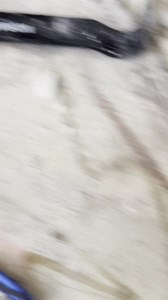 One of the most common questions we get is:“Do I have mold behind my...