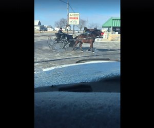Amish man takes horse-racing to the next level