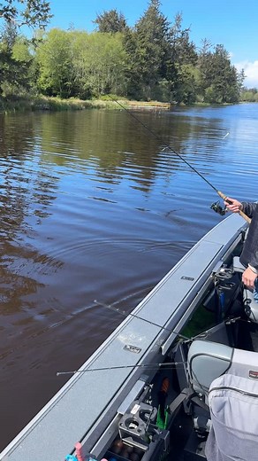 11K views · 212 reactions | You know what I love about my Alumaweld...