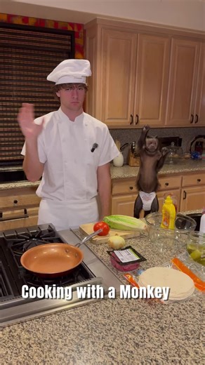 Cooking with Monkey: Fun Recipes and Adorable Moments