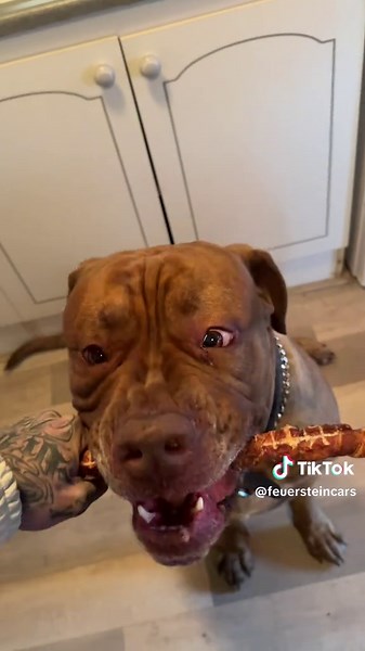 Feuerstein (@feuersteincars)’s videos with Originalton - Feuerstein