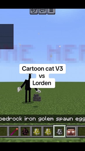 Cartoon cat V3 vs Lorden - Minecraft Game Battle