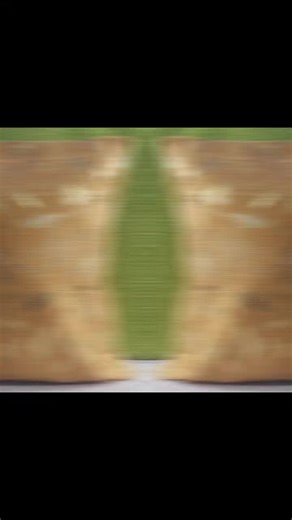 last stock cushion cover on promo .... on live sale