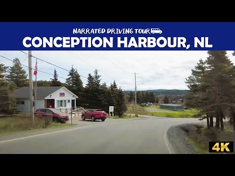 Conception Harbour, Newfoundland and Labrador 🇨🇦🚗4K Drive