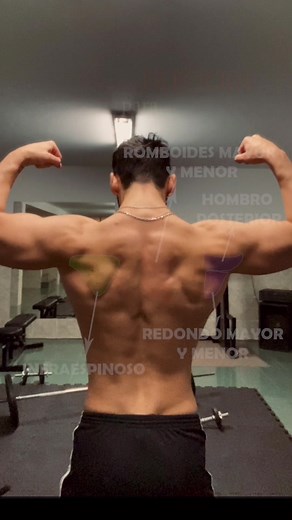 Ejercicios para Redondo Mayor y Menor en el Gimnasio