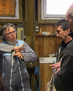 32K views · 340 reactions | "Il y en a 40 à faire !"  C'est aux côtés d'Isabelle que les deux prétendants découvrent comment traire une chèvre. Le meilleur de "L'amour est dans le pré" | Golden TV | Facebook