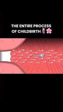 the entire process of child birth #amazingscience #ihavethisthingwithplants #facts #science