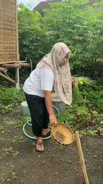 Pepaya jatuh ke dalam air bikin aku kaget😱 #fypシ゚viral