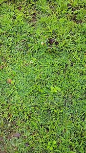 1.5M views · 19K reactions | Samsung Note 10+ Stock Available Price: 72,000/- PTA Approved ( Life Time) | A2Zee Trends | Facebook