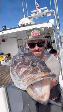 Ling Cod Fishing Depoe Bay #fishing #pnw #oregon #lingcod