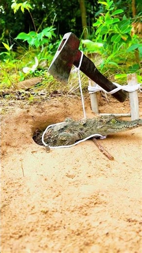 Primitive Jungle Trap Catches a Surprise! 🐊#Shorts #WildlifeDiscovery #JungleTraps