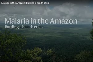 Malaria in the Amazon: Battling a health crisis - Nature Partnerships