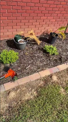 2-in-1 Garden Hoe and Weed Puller Rake Long Handle Weeding Tool Gardening
