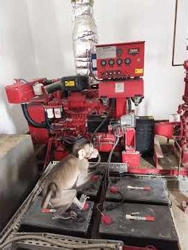 Monkey Generator Repair Working | Full Technical Guide#sorts