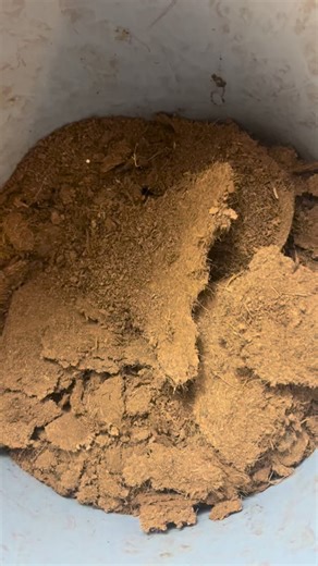 🌱 Benefits of Worm Farming 🌱 • Turns food scraps into rich, living soil • Produces powerful worm castings for healthier plants • Boosts plant growth naturally (no chemicals) • Improves soil structure & water retention • Reduces household and garden waste • Supports microbes that plants LOVE • Eco-friendly & sustainable #organic #wormfarming #gardening #soilhealth #worms 🚫 What NOT to Feed Worms (Composting Worms) 🚫 • Meat or fish • Dairy (cheese, milk, yogurt) • Oily or greasy foods • Fried 