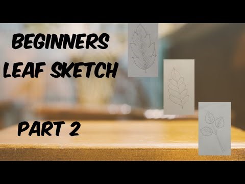 Beginners Leaf sketch | Part 2 |