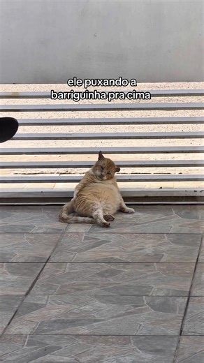 O que um senhor de 12 anos nos ensina sobre bullying