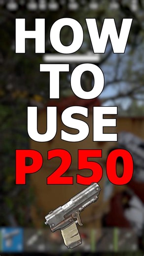 How To Use The P2 In Rust