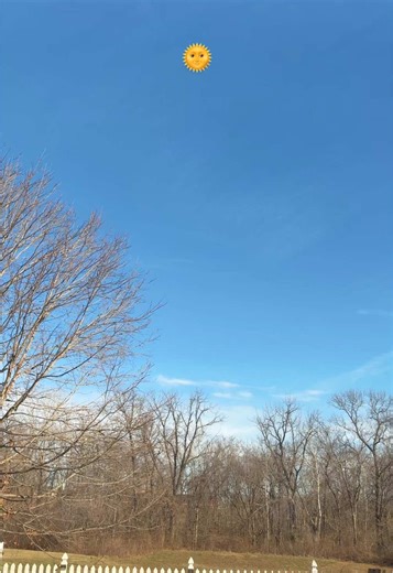 I don’t think you could hear it in the video but there are birds quietly chirping outside 🐥 #asmr #lofiasmr #visualasmr #asmrsounds #fyp