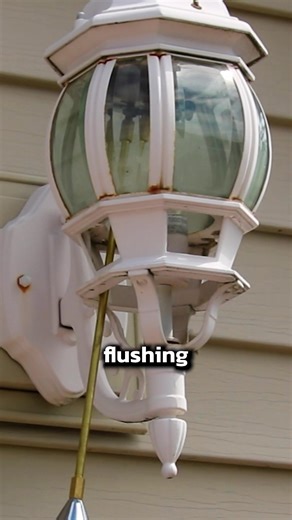 6.8K views · 20 reactions | How to Flush Wasps Out with Delta Dust! #wasps #pestcontrol | Pest Badger | Facebook