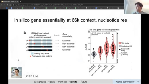 Sequence modeling and design from molecular to genome scale with Evo