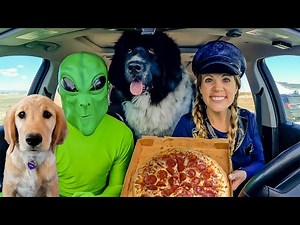 Police and Puppy Surprised by Alien Car Ride Chase!