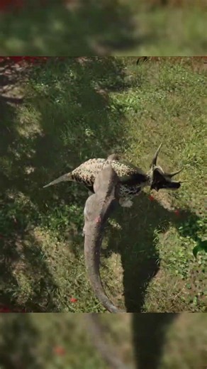 Allo bites too quickly! [The Isle Evrima] #theisle #theisleevrima #rex #trike #allo #austro #kentro