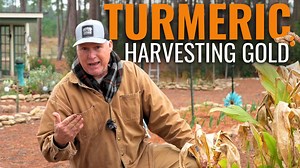 11K views · 182 reactions | Hey Neighbor! Do you like trying new...