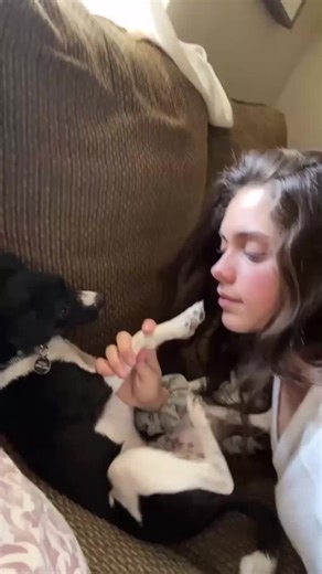 Funny Dog Pranks: Pretending to Eat My Dog