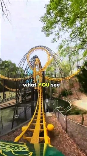 CRAZY LOOPING COASTER