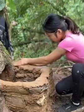 She Hollowed Out a Giant Tree to Build a Shelter