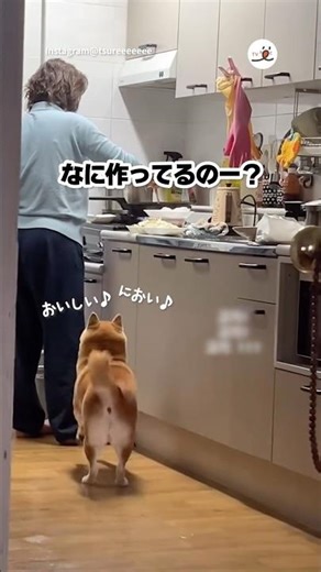 What are you making? | PECO