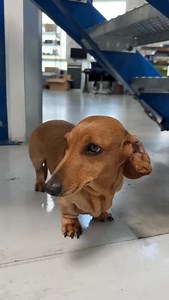 298 reactions · 21 comments | Mir ist schon bewusst das diese...