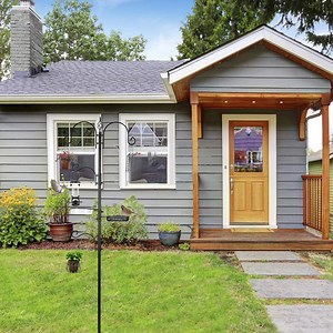 Watch Bird feeding station with feeders on Amazon Live