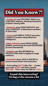 28K views · 169 reactions | Extraordinary Animal Behavior #facts #fblifestyle | Time Facts | Facebook