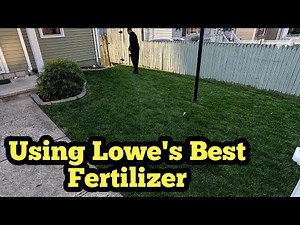 How To Fertilizer A Lawn In Early Spring