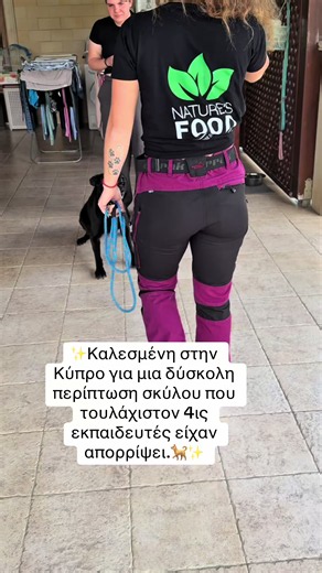 Σκύλος 3 ετών με επιθετικότητα: Η ιστορία που έσωσε μια 20χρονη