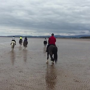 Cumbrian Classic Ride - Day Two.....(and I know this was Sunday, today's pics will follow in a mo! 😁) So Day Two takes our intrepid five from Gutterby Farm to Muncaster Castle along the base of Black Combe, then down onto the fabulous beach below Eskmeals, before riding through the sandunes, fording the River Esk, to finish the day with good grazing at Muncaster Farm. This clip was taken on the beach, horses are two days in, this is the afternoon, so some extended canters along the sand 😁😍😍�