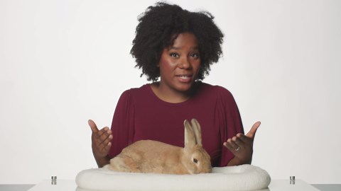 Lesson 19 | Simply Good and Beautiful Math 6