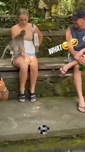 Funniest animals 🤣 try not to laugh😂🤣 #funnyanimals #animals #pets #shorts