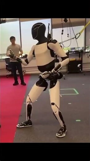 Tesla Optimus Learns Kung Fu