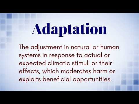 What Is The Definition of (Adaptation)?