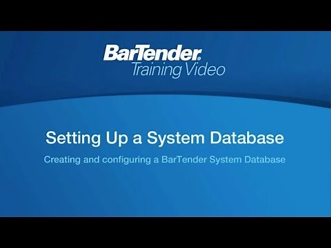 Setting Up a System Database in BarTender Software (Tutorial)