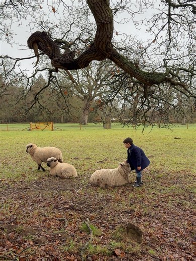 Amy Jackson on Reels