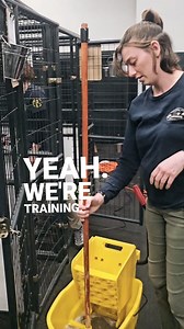 2.5K views · 376 reactions | If You’re Not Cleaning, You’re Not Dog...