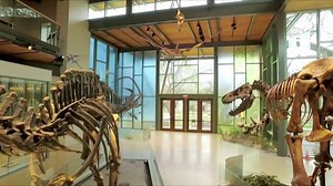 This Spring Break your whole family can experience everything #Texas and so much more at the NEW Witte Museum! #NewWitte | Witte Museum