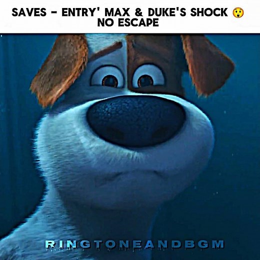 "Saves - Entry' Max & Duke's shock"] 😲 The Secret life of pets Movie edit #edit #shortvideo